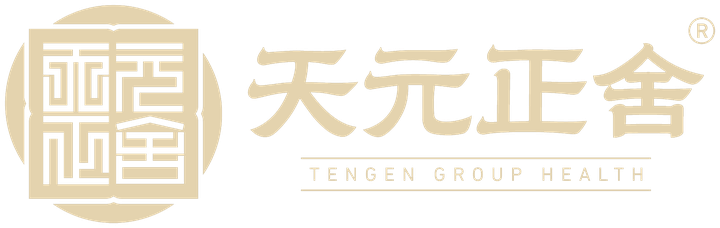 天元正舍集团